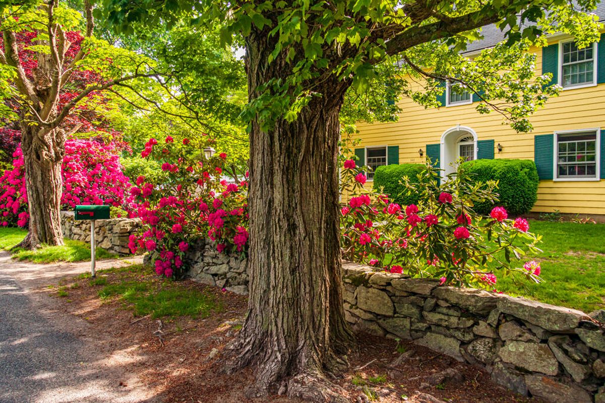 A yellow home and landscaped gardens next to a painted mailbox in Rhode Island